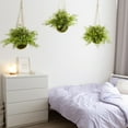 thumbnail image 3 of Nearly Natural Artificial Eucalyptus, Maiden Hair & Berry Plant 3-Pc Hanging Basket Set, Green, 3 of 3