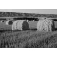 thumbnail image 2 of Grandmaison, Mike 24x18 Gold Ornate Wood Framed with Double Matting Museum Art Print Titled - Canada, Manitoba, rolled hay bales in field, 2 of 4