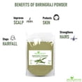 thumbnail image 3 of Bhringraj Powder Shudh Online Organic 100 g para el crecimiento del cabello, 3 of 7