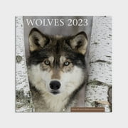 2023- 12 Month Calendar- Wolves 12x12 Hanging Wall Calendar by DaySpring