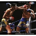 thumbnail image 6 of Fairtex BGL6 Pro Leather Laced Competition Gloves - Locked Thumb for Muay Thai and Boxing, 6 of 11