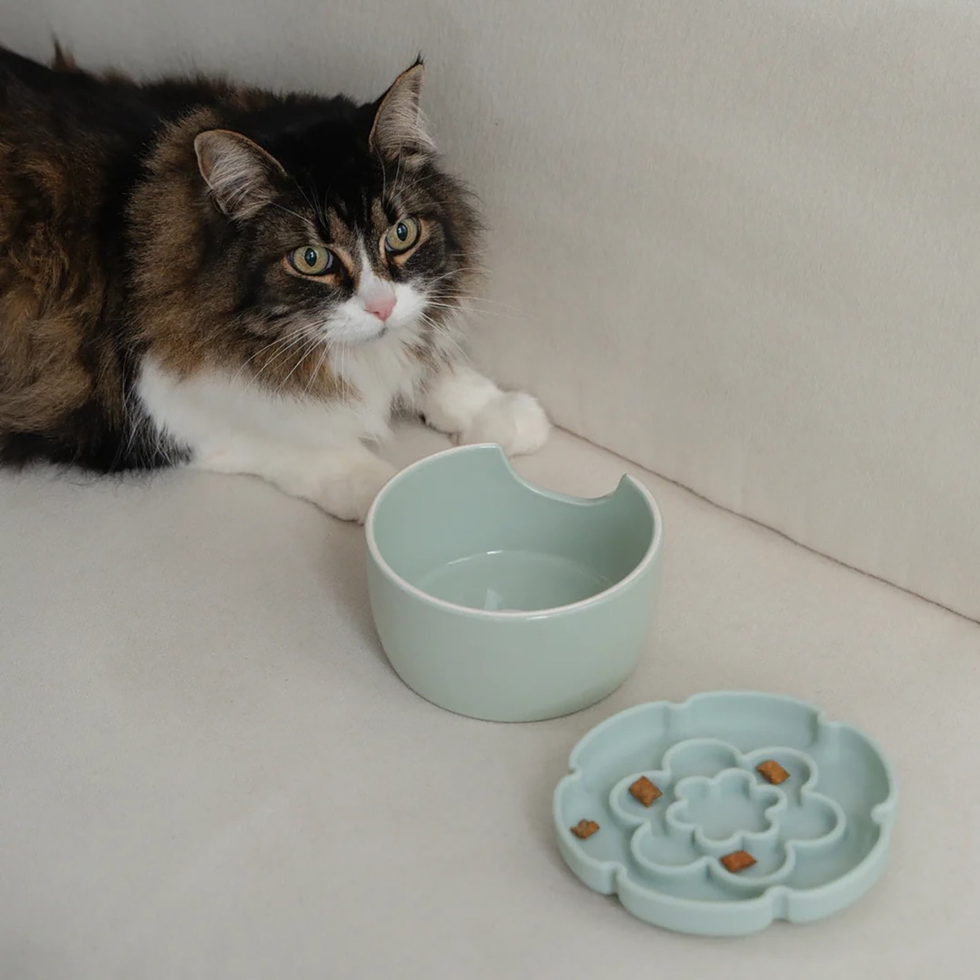 Dexypaws: Flower Elevated Slow Feeder - Pink Blush - 7.75oz Capacity, Silicone Cat Dish w/ Removable Ceramic Stand, Pet Meal Feeding, Water & Food