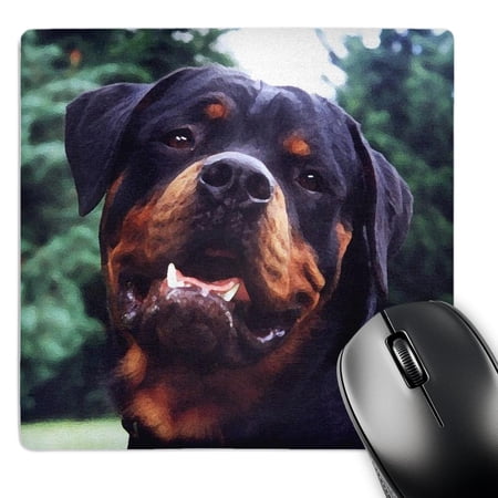 3dRose  Rottweiler Portrait  MousePad price history on PriceWatchPro