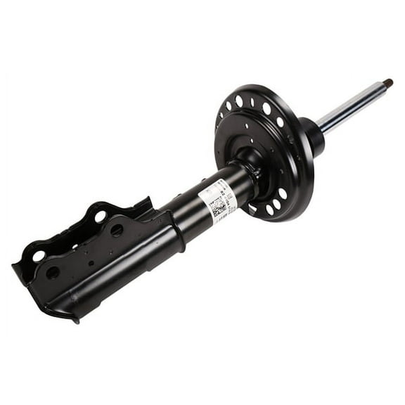 Front Passenger Side Suspension Strut