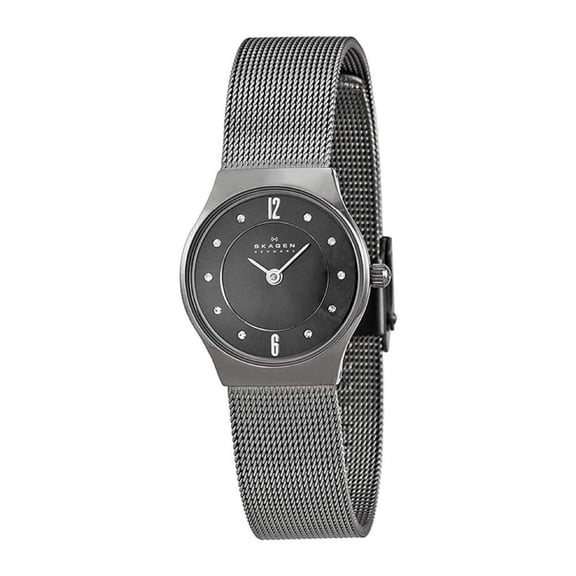 Skagen Women's FALL 2012 233xsttm 27mm Titanium Case Grey Steel Bracelet Mineral Watch