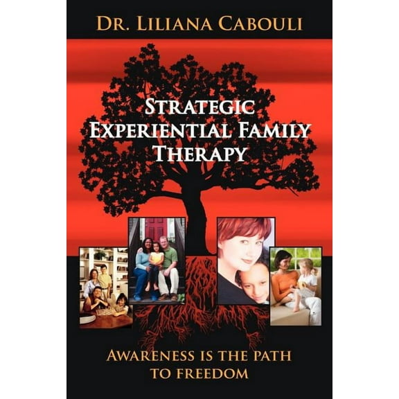 Strategic Experiential Family Therapy (Paperback)