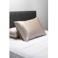 thumbnail image 2 of Fishers Finery 30mm 100% Pure Mulberry Silk Pillowcase Set (Taupe, King, 2 Pack), 2 of 5