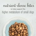 Purina Bella Natural Bites Chicken Beef Sweet Potato Spinach Dry Dog