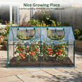 thumbnail image 6 of LIFERECORD Mini Greenhouse - Portable Greenhouse with PVC Cover for Indoor or Outdoor, 70" x 35" x 35" Green House for Home, Clear, 6 of 8