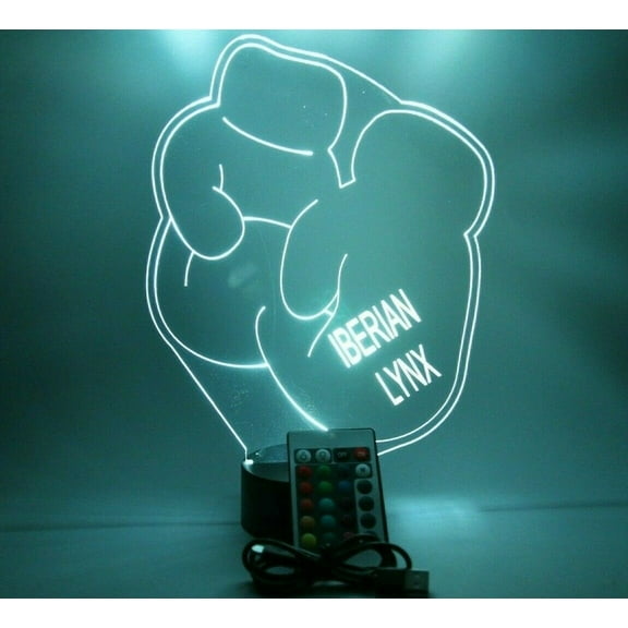 Boxing Gloves Sports Team Player Fan Name Night Light Up Lamp LED Personalized Any Name Custom Desk Table Lamp, It's WOW, With Remote 16 Colors Changing, Free Engraving, Great Gift