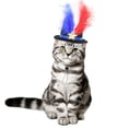 thumbnail image 4 of Sombrero del Día de la Independencia, artículos para fiestas, sombrero de copa, sombrero con lazo, joyas coloridas para perros y gatos, accesorios para el cabello del 4 de julio, accesorios para, 4 of 4