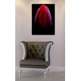 thumbnail image 4 of Cortesi Home ''Wet'' by Darren White Graphic Art on Wrapped Canvas, 4 of 5