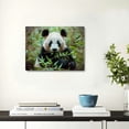 thumbnail image 4 of JRXY Panda Pictures Canvas Wall Art Posters Animal Prints Printing Home Office Decor  20x16inch, 4 of 6