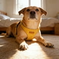 thumbnail image 3 of Secure and Comfortable Adjustable No Pull Dog Harness with Padded Chest Support for Easy Walking Control, 3 of 4