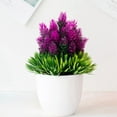 thumbnail image 4 of 2PCS Artificial Potted Small Greenery,Realistic Mini with Flowers for Indoor Home Decor,Desktop Table Centerpiece for Bathroom,Farmhouse Displays,Mother's Day,Christmas Gifts, 4 of 6