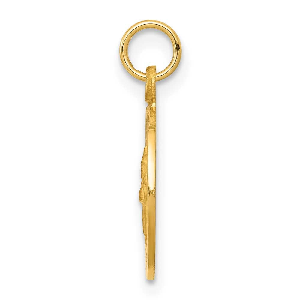 Finest Gold 14K Saint Patrick Medal Charm