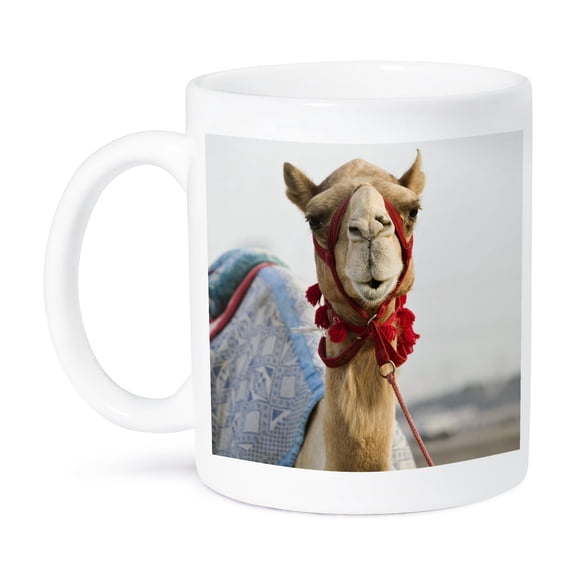 3dRose, UAE, Dubai, Al Marqadh. Dubai Camel Racing Track-AS44 WBI0141 - Walter Bibikow, 15oz Mug