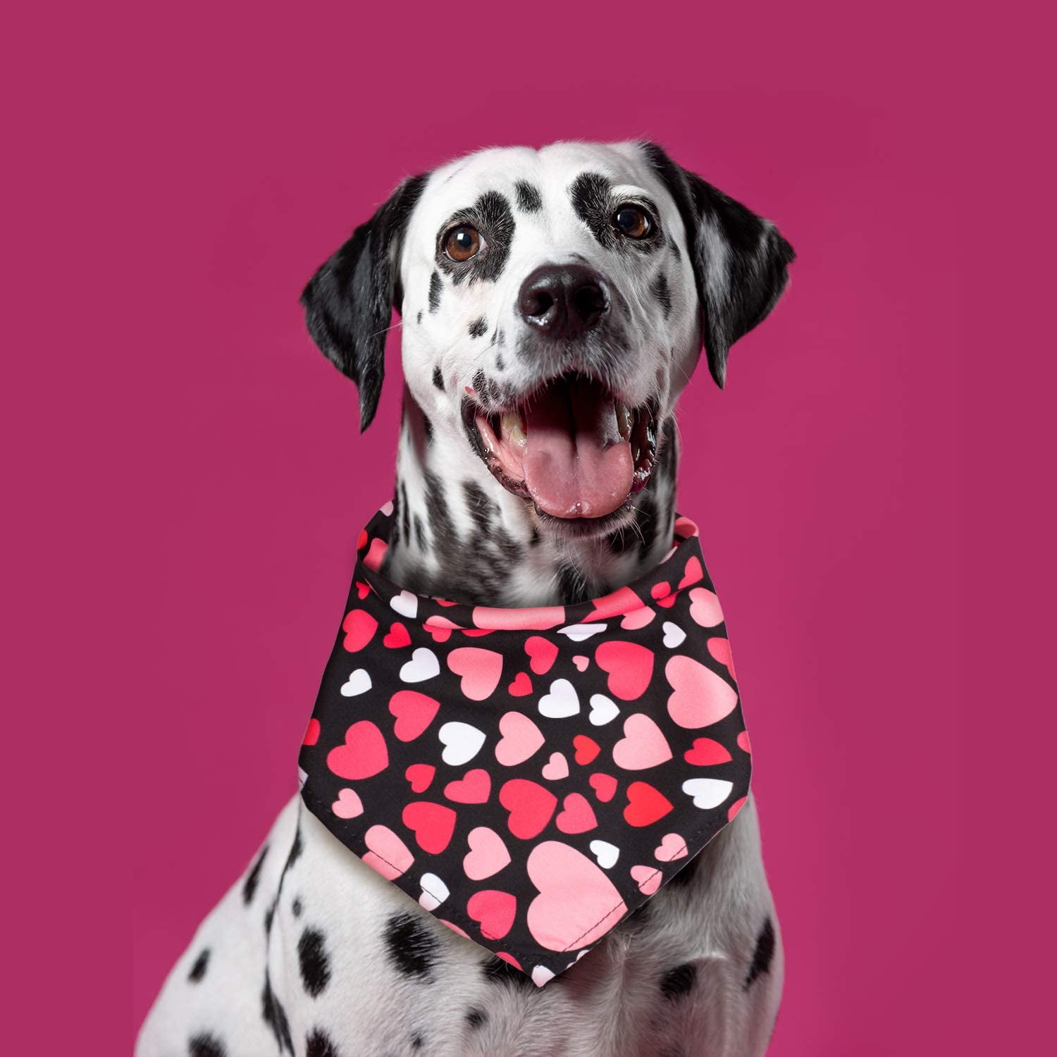 DOG BANDANA Sz XS-L Over Collar VALENTINES DAY HEART DOGS PINK/RED  DALMATIANS 