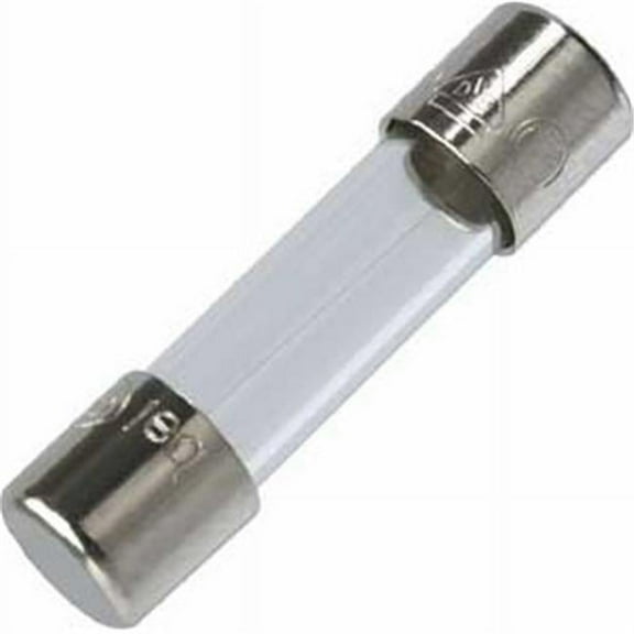 Generic SC-10 10A Time Delay Fuse