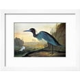 thumbnail image 2 of Audubon Little Blue Heron, Animals Framed Art Print Wall Art by John James Audubon Sold by Art.Com, 2 of 6