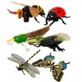 thumbnail image 2 of EIMELI 6pcs Plastic Insects Lady Bugs Butterfly Display Dragonfly Animals Model Early Educational Toy For Kids New, 2 of 4