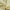 Yellow, variant on Uptown Home Ombre Indigo Blue Window Curtain Panel for Living Room Semi Sheer Texture Grommet Window Treatments for Bedroom, Cream White to Blue, 40"x84"x2