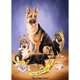 thumbnail image 2 of Cuadros Decorativos 5D bricolaje completo taladro diamante pintura perro punto de cruz bordado Kits (C1138) Likrtyny embutido en tela, 2 of 9