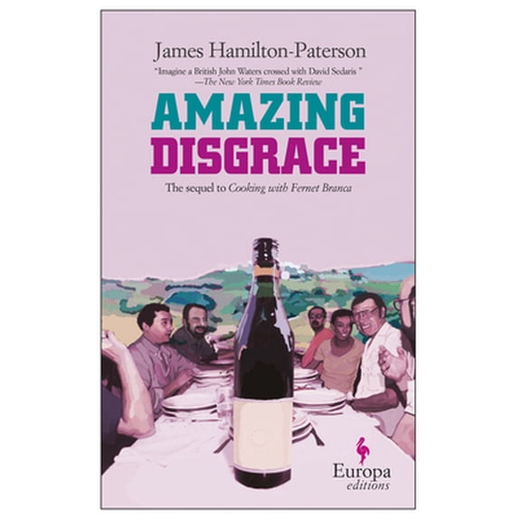 Pre-Owned Amazing Disgrace (Paperback) 1933372192 9781933372198