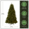 thumbnail image 4 of National Tree Company 6.5 ft Pre-Lit Dunhill Fir Artificial Christmas Tree, 600 LED Lights, 1,838 Tips, PowerConnect, Foot Pedal, 10 Light Functions, Includes Stand, Green, 4 of 9