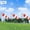 red 60cm, variant on Aviation Wind Socks Wind Measurement Sock Wind Direction Indicator , red 60cm