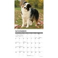 thumbnail image 3 of Just Australian Shepherds 2024 12 X 12 Wall Calendar (Other), 3 of 4