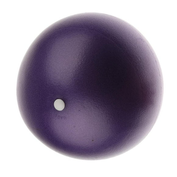 Balle de Pilates Professionnelle - Petite Balle d'Exercice pour le Yoga, le Pilates, l'Étirement - Offerte en 3 Couleurs et 2 Tailles 25 cm