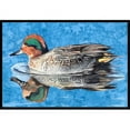 thumbnail image 1 of Carolines Treasures 8830MAT 18 x 27 In. Teal Duck Indoor or Outdoor Mat, 1 of 4