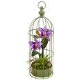 thumbnail image 1 of Arrangement d'Orchidée Cattleya dans la Cage d'Oiseau&44; Pourpre, 1 of 1