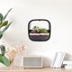 thumbnail image 4 of Macetero de pared para plantas de interior, macetero decorativo, florero colgante para oficina, maceta hidropónica, decoración de interiores, 4 of 7