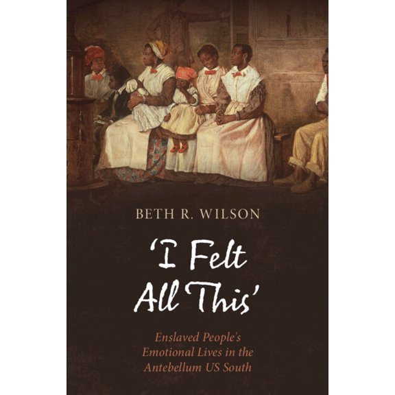 Cambridge Studies on Black Women in Us H 'I Felt All This': Enslaved People's Emotional Lives in the Antebellum Us South, (Paperback)