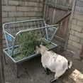 thumbnail image 4 of Rugged Ranch Products GV3PF 4 Ft Heavy Duty Galvanized Steel Pasture Feeder, 4 of 8
