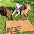 thumbnail image 2 of 16x24 Inch No Slip Coir Door Mats Outdoor Entrance Outdoor Welcome Mats for Front Door Washable Front Door Rugs Indoor Waterproof, Low Profile Welcome Doormat Doormat for Outdoor Entrance, 2 of 9