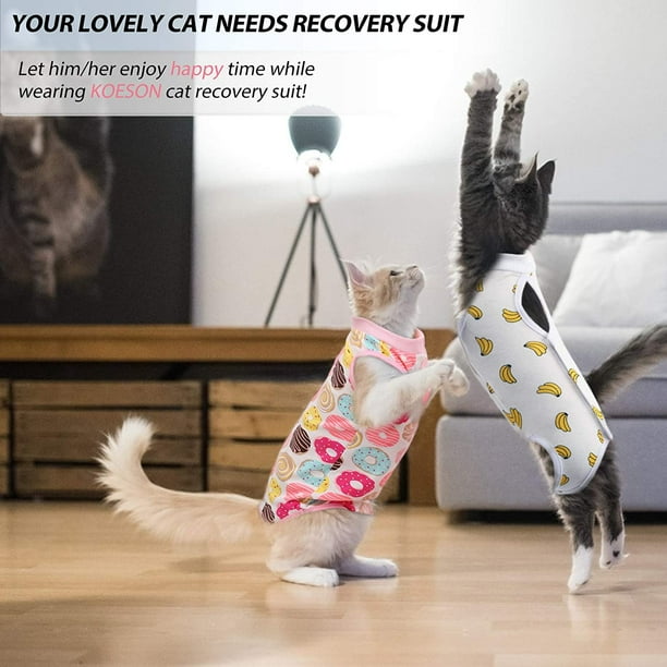 Kitten surgical outlet recovery suit