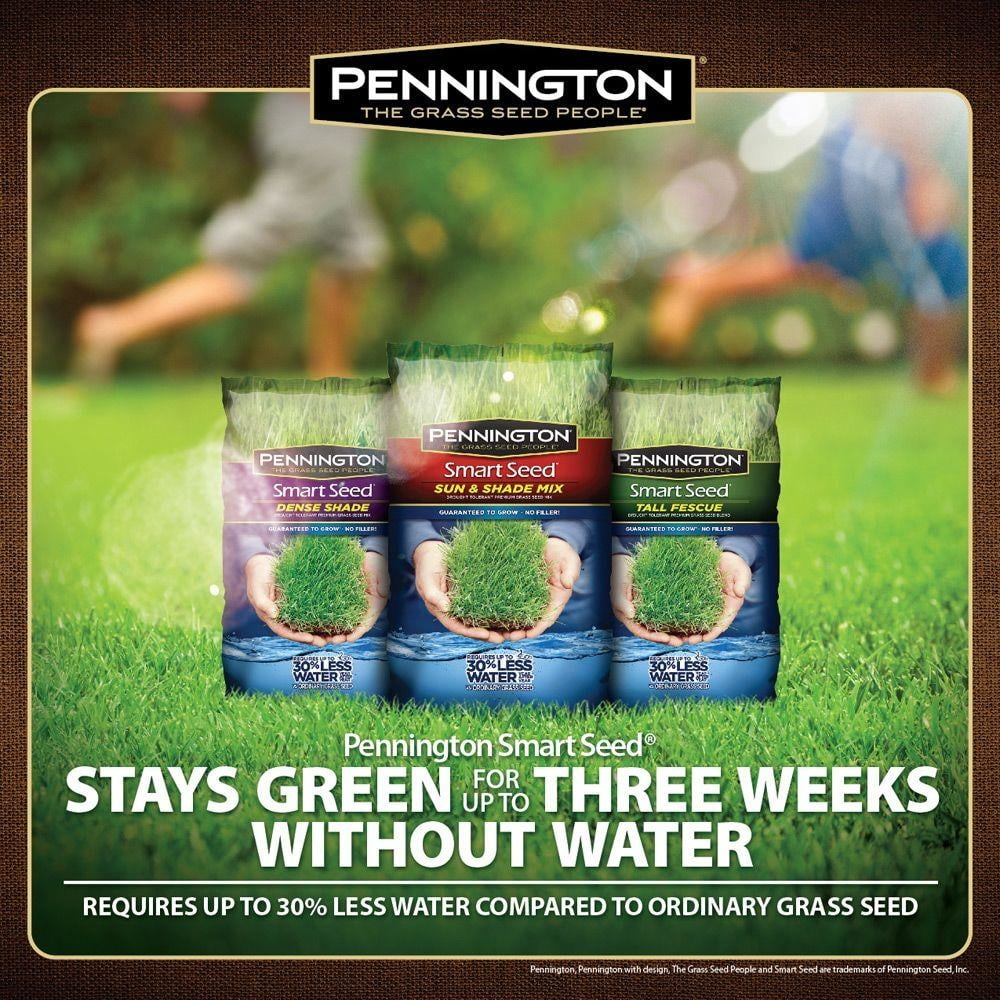 Pennington Smart Grass Seed Pennsylvania Mix  3 lb Bag, Partial Sun