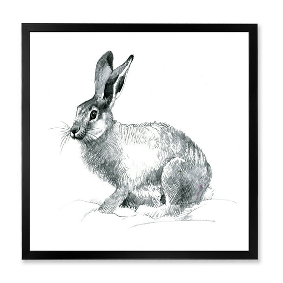 Designart 'Black and White Portrait Of Rabbit' Farmhouse Framed Art Print