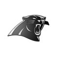 thumbnail image 1 of Carolina Panthers Antique Nickel Auto Emblem, 1 of 1