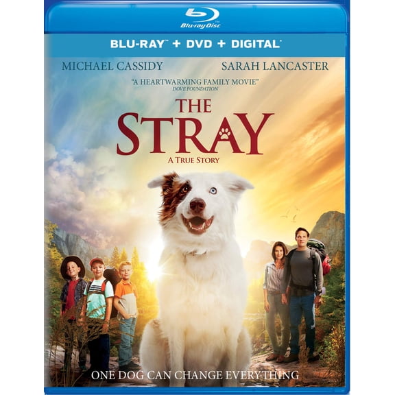 The Stray (Blu-ray   DVD   Digital)