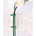 thumbnail image 5 of 12 Sets Garden Support Stakes Plant Gardening Supplies Flowers Single Stem Sticks Decor, 5 of 6
