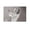 Unframe-style, variant on Music Poster of Singer Karen Carpenter Canvas Poster Posters Wall Art Painting Canvas Gift Living Room Prints Bedroom Decor Poster Artworks 16x24inch(40x60cm)