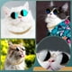 thumbnail image 5 of Set de Gafas y Collar para Mascotas Xuniea para Muñeca Gato Perro, 5 of 7