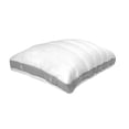 thumbnail image 1 of Almohada Confort Dúo Polo One Liso 100% Poliéster blanco Estándar, 1 of 6