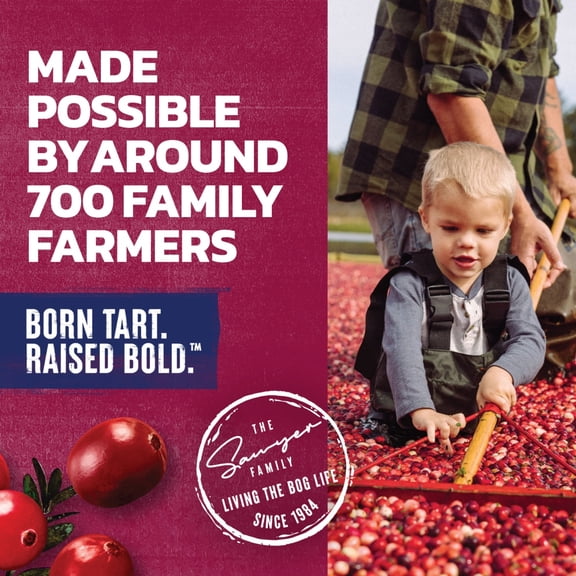 Ocean Spray Original Cranberry Juice Cocktail 6 ct / 10 fl oz - Pack of 1