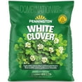 thumbnail image 3 of Pennington Durana White Clover Seed, 2lb, 3 of 13