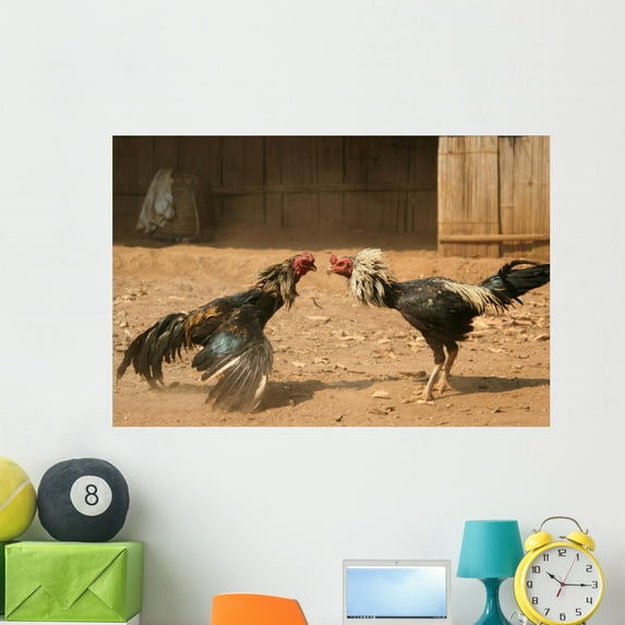 Cock Fight Wall Mural by Wallmonkeys Peel and Stick Graphic (48 in W x 32 in H) WM233992